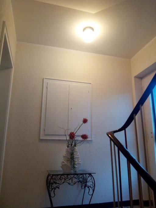 Ferienwohnung Marita Rietberg Zewnętrze zdjęcie
